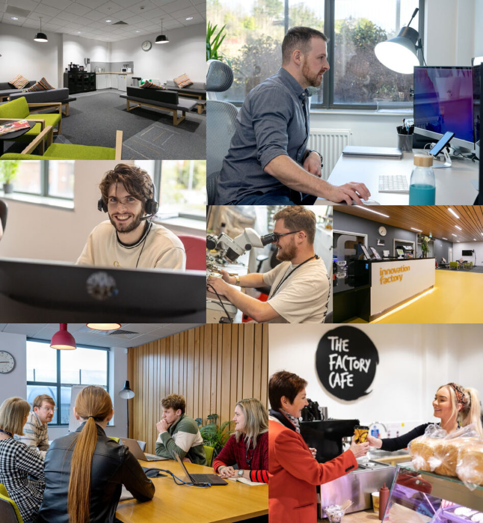 Office Space Collage